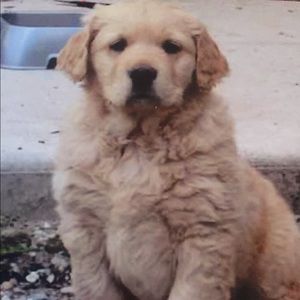 Meet your Posher, Jo